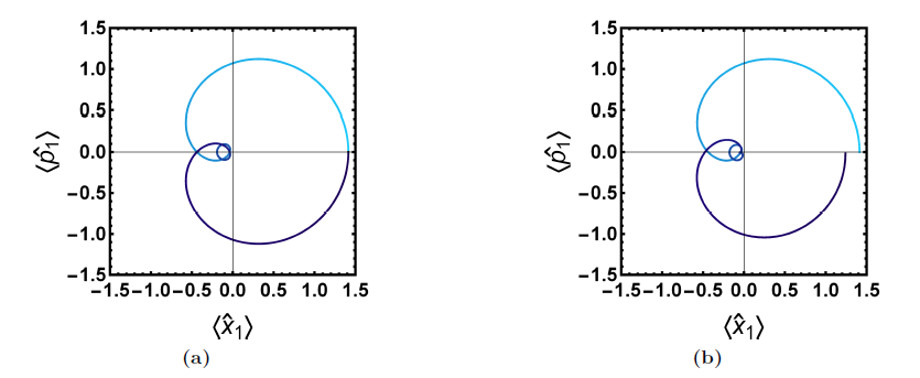 Two figures showing the evolution of an optomechanical systems in phase space. 
